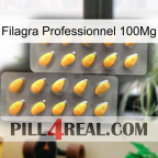 Filagra Professional 100Mg cialis2